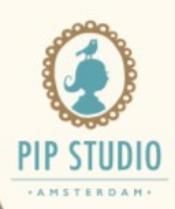 PiP Studio